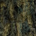 Galeria Allegro 20220324-_DSC2416-Edit-2.jpg