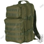 Plecak Męski Turystyczny Wojskowy 101Inc US Assault Pack Lekki 25L - Olive