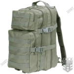 Plecak Męski Turystyczny Wojskowy 101Inc US Assault Pack Lekki 25L Foliage