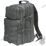Plecak Męski Turystyczny Wojskowy 101Inc US Assault Pack Lekki 25L - Szary