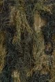 Galeria Allegro 20160609-_DSC1892-Edit-2.jpg