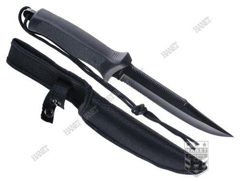 Allegro nowe mini_20150513-_DSC2099.jpg