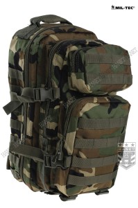 Wojskowy Plecak Assault 20L - Woodland